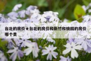 台北的房价★台北的房价和新竹和桃园的房价哪个贵