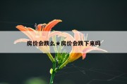 房价会跌么★房价会跌下来吗