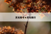 灵石限号★灵石限行