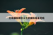兰亭国际房价★兰亭国际是豪宅吗