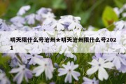 明天限什么号沧州★明天沧州限什么号2021