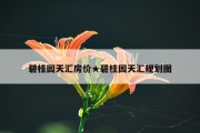 碧桂园天汇房价★碧桂园天汇规划图