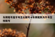 车牌尾号是字母怎么限号★车牌尾数为字母怎样限号