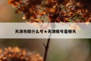 天津市限什么号★天津限号是哪天