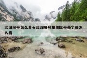 武汉限号怎么看★武汉限号车牌尾号是字母怎么看