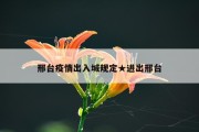 邢台疫情出入城规定★进出邢台