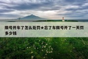 限号开车了怎么处罚★忘了车限号开了一天罚多少钱