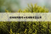 杭州如何限号★杭州限号怎么开