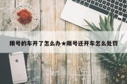 限号的车开了怎么办★限号还开车怎么处罚