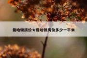曼哈顿房价★曼哈顿房价多少一平米