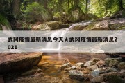 武冈疫情最新消息今天★武冈疫情最新消息2021