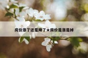 房价涨了还是降了★房价是涨是掉