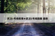 武汉1号线疫情★武汉1号线路图 最新