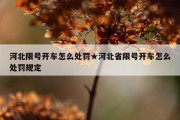 河北限号开车怎么处罚★河北省限号开车怎么处罚规定