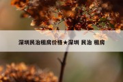 深圳民治租房价格★深圳 民治 租房