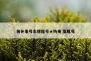杭州限号车牌尾号★杭州 限尾号