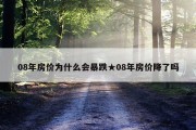 08年房价为什么会暴跌★08年房价降了吗