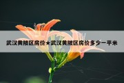 武汉黄陂区房价★武汉黄陂区房价多少一平米