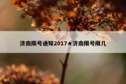 济南限号通知2017★济南限号限几