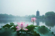 杭州旅游疫情最新发布★杭州最新旅游消息