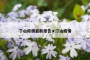 丁山疫情最新报告★汀山疫情