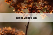 限限号★限限号通行