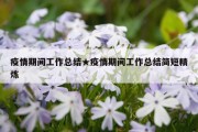 疫情期间工作总结★疫情期间工作总结简短精炼