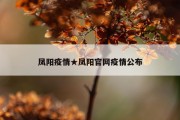 凤阳疫情★凤阳官网疫情公布