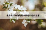 限号出行如何处罚★限号出行的后果