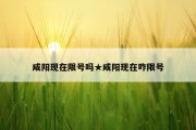 咸阳现在限号吗★咸阳现在咋限号