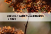 2016年7月天津限号★天津2021年6月份限号