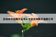 沧州市今日限什么号★今日沧州限号是限几号