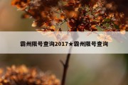 霸州限号查询2017★霸州限号查询