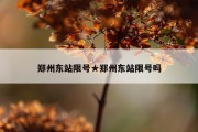 郑州东站限号★郑州东站限号吗