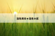 沿东房价★沿东小区
