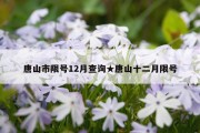 唐山市限号12月查询★唐山十二月限号