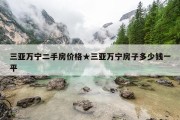 三亚万宁二手房价格★三亚万宁房子多少钱一平