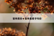 宝丰房价★宝丰县房子均价