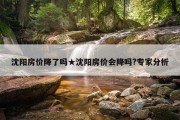 沈阳房价降了吗★沈阳房价会降吗?专家分析