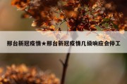 邢台新冠疫情★邢台新冠疫情几级响应会停工