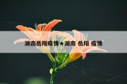 湖南岳阳疫情★湖南 岳阳 疫情