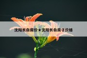 沈阳长白房价★沈阳长白房子价格