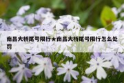 南昌大桥尾号限行★南昌大桥尾号限行怎么处罚
