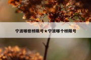 宁波哪些桥限号★宁波哪个桥限号