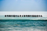 单号限行是什么号★单号限行是能走什么