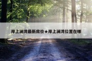 岸上澜湾最新房价★岸上澜湾位置在哪