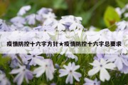 疫情防控十六字方针★疫情防控十六字总要求