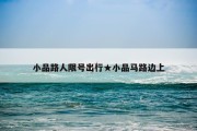 小品路人限号出行★小品马路边上