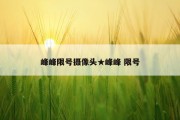 峰峰限号摄像头★峰峰 限号