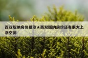 西双版纳房价暴涨★西双版纳房价还有很大上涨空间